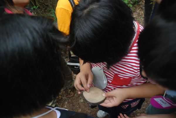 1-DSC_0048 (276)
